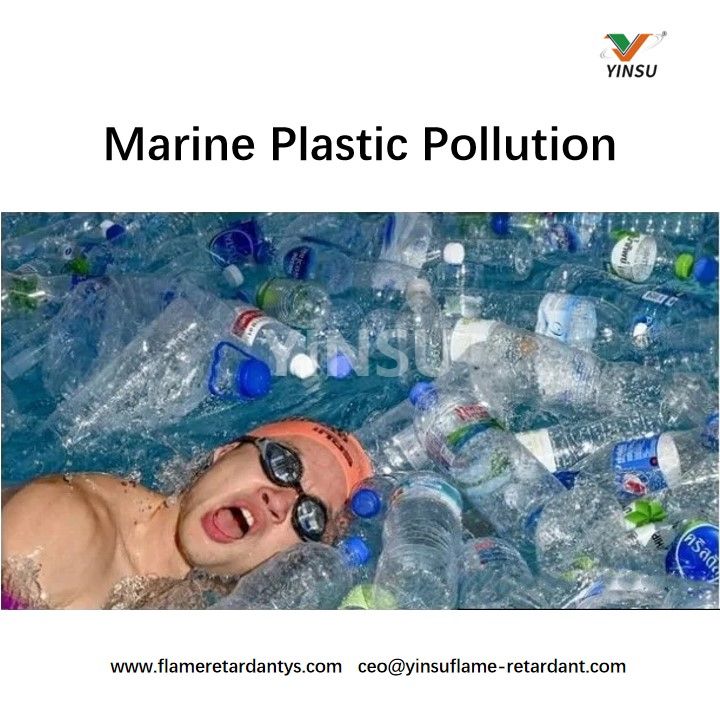Meeresverschmutzung durch Plastik