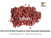 PEG-14 PE-V0 flammhemmender Masterbatch mit rotem Phosphor