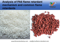 //iprorwxhnnrilo5q-static.micyjz.com/cloud/lrBprKkqlrSRqkopjonpjp/Analysis-of-PA6-flame-retardant-mechanism-and-common-flame-retardants.jpg